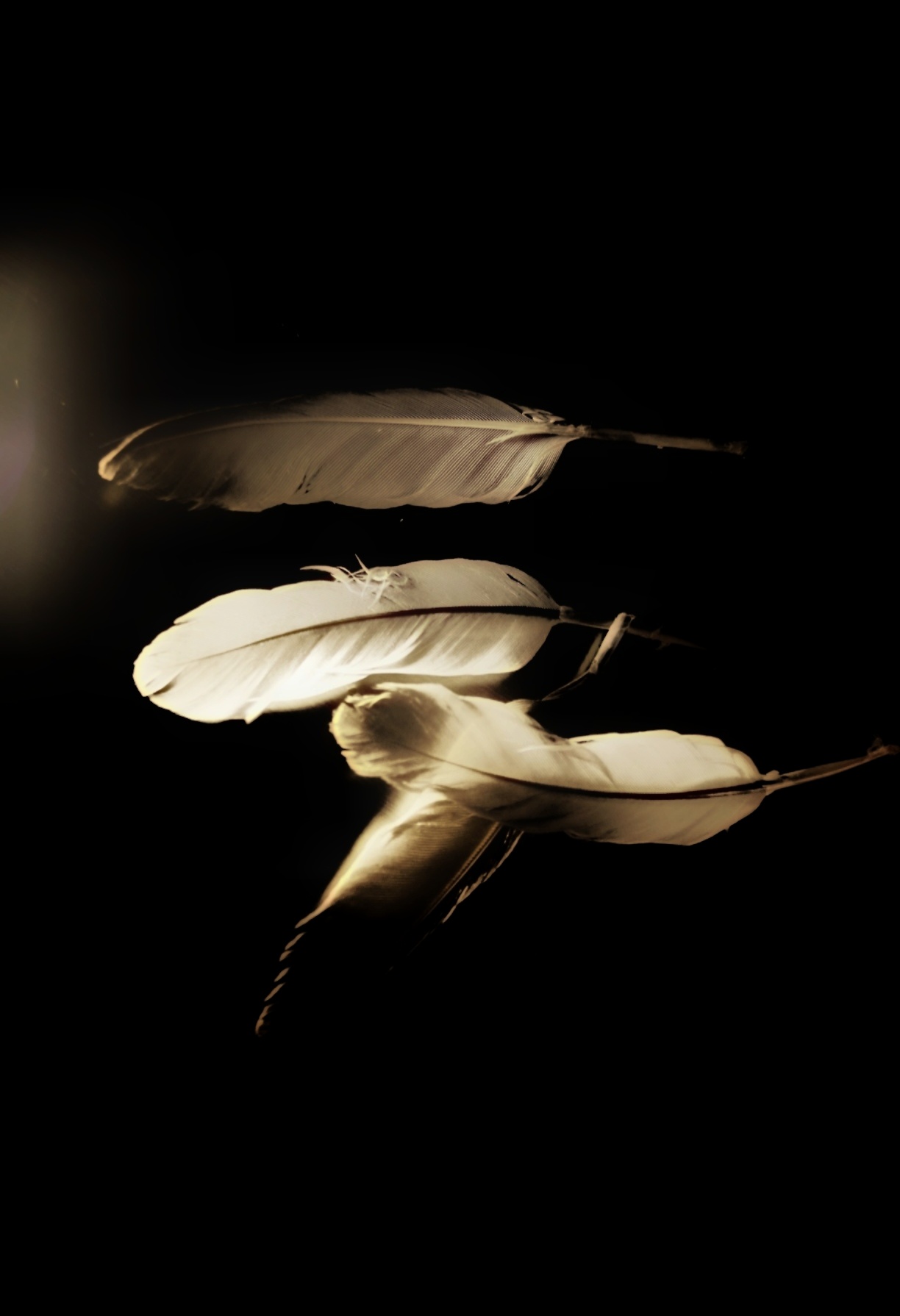 Weightless