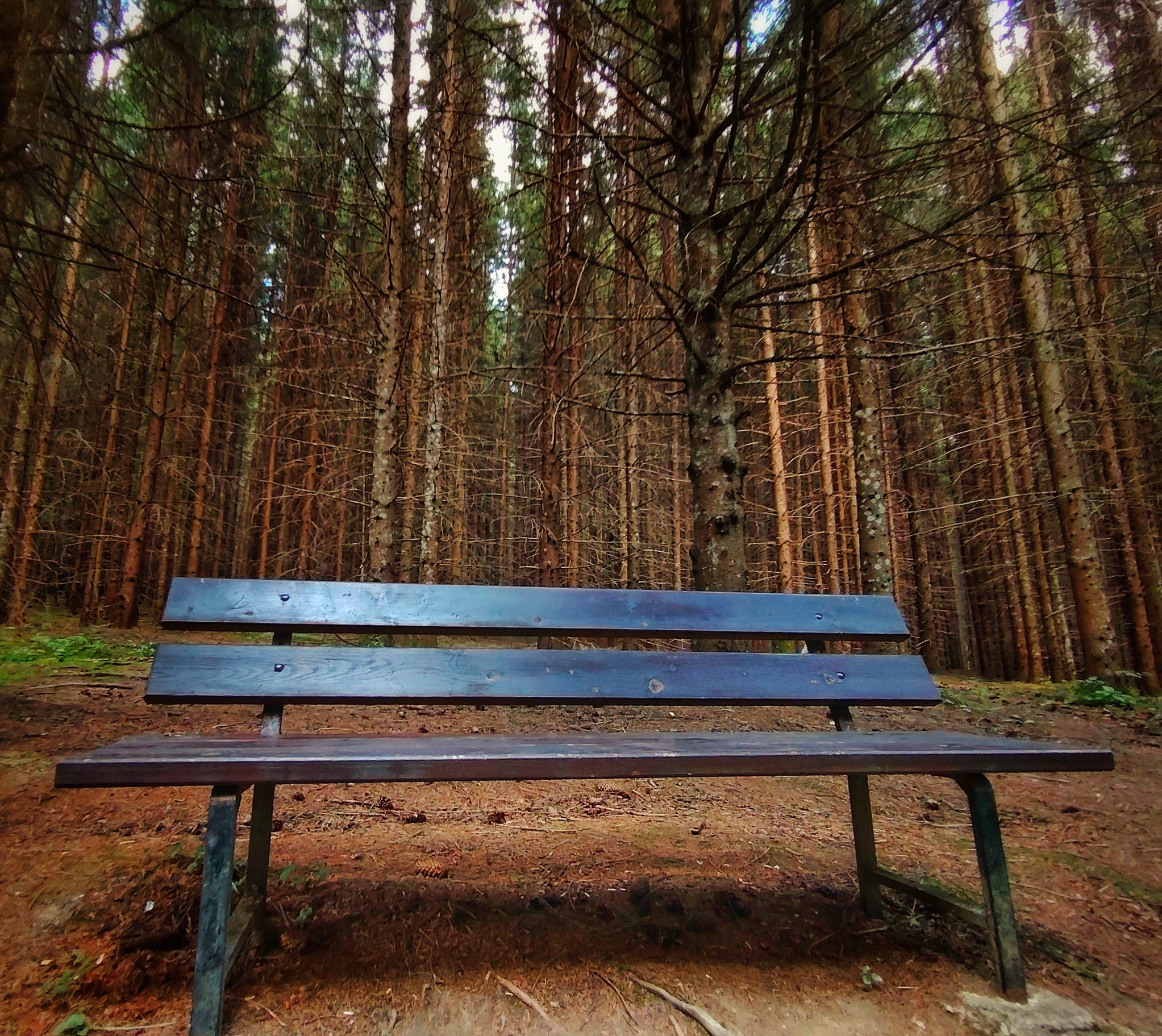 The Waiting Place